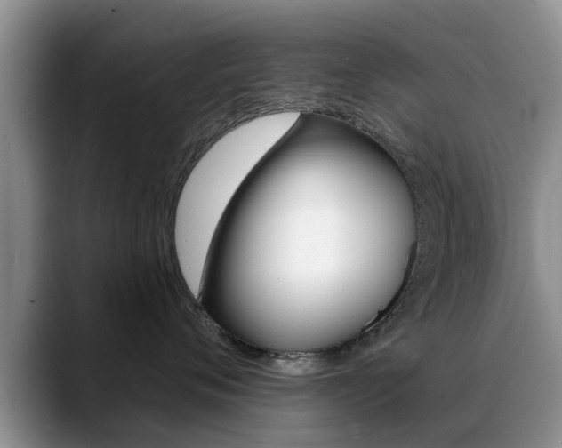 X0000089390720200706150931