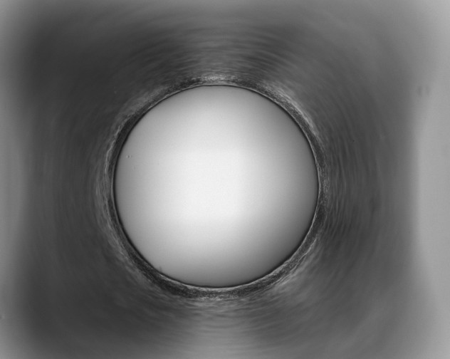 X0000089390721200706150930