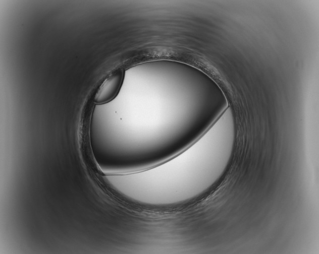X0000089390722200706150930