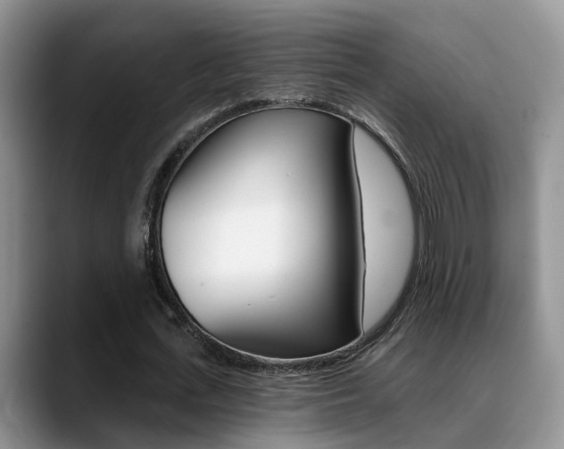 X0000089390723200706150930