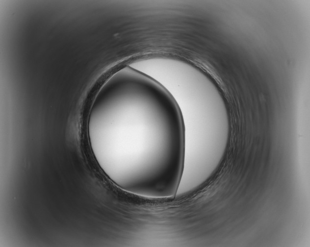 X0000089390724200706150930