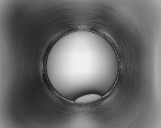 X0000089390725200706150931