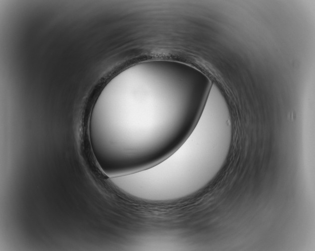X0000089390728200706150931