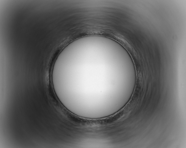 X0000089390729200706150931