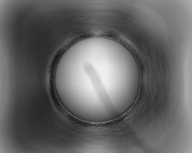 X0000089390730200706150931