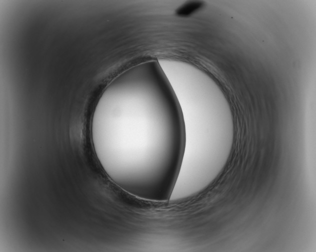X0000089390732200706150931
