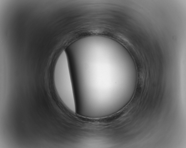 X0000089390734200706150931