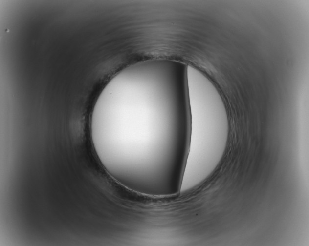 X0000089390735200706150931