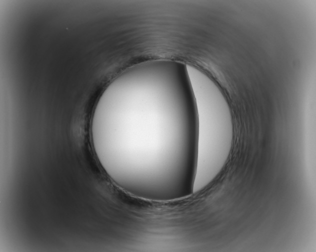 X0000089390736200706150931