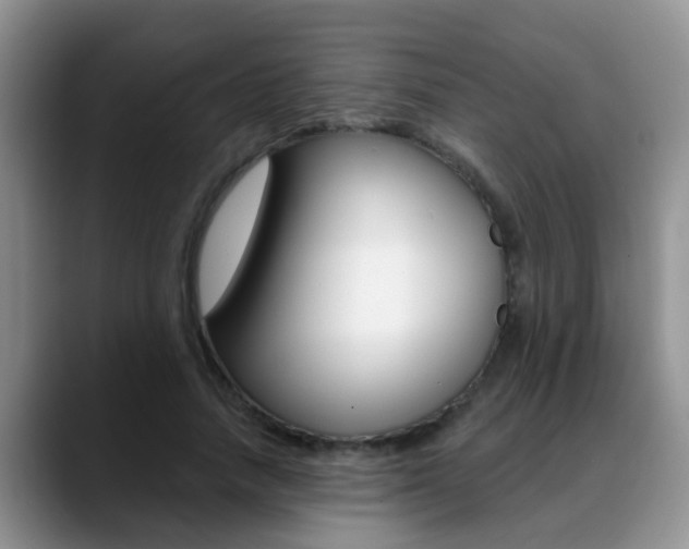 X0000089390738200706150931