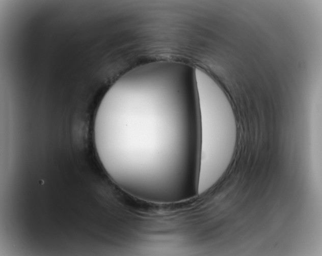 X0000089390739200706150931
