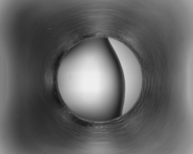 X0000089390740200706150931