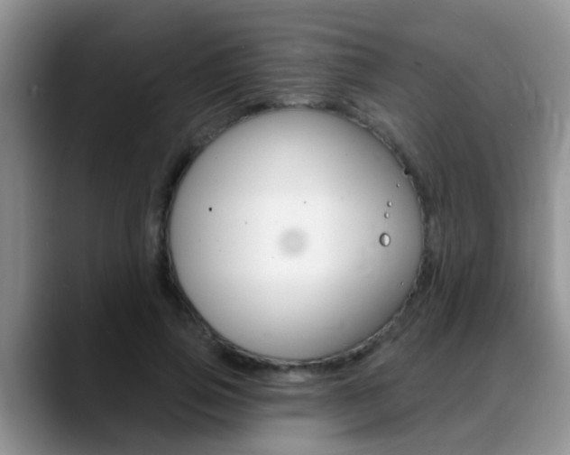 X0000089390741200706150931