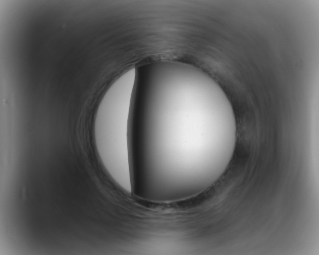 X0000089390742200706150931