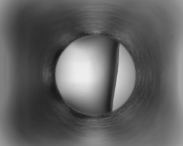 X0000089390743200706150931