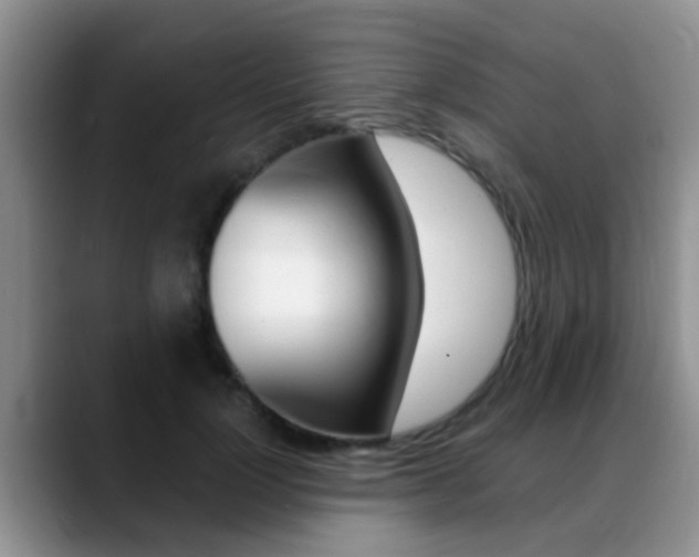 X0000089390748200706150931