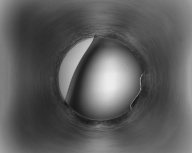 X0000089390750200706150931