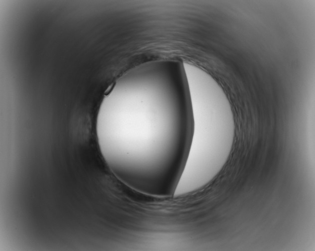 X0000089390752200706150931