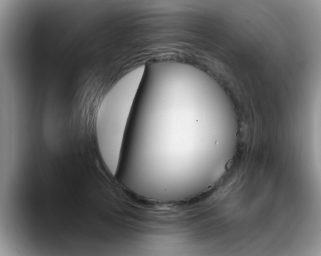 X0000089390753200706150931