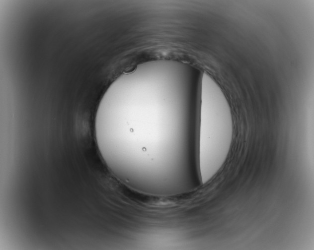 X0000089390754200706150931