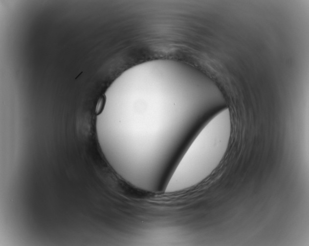 X0000089390758200706150931