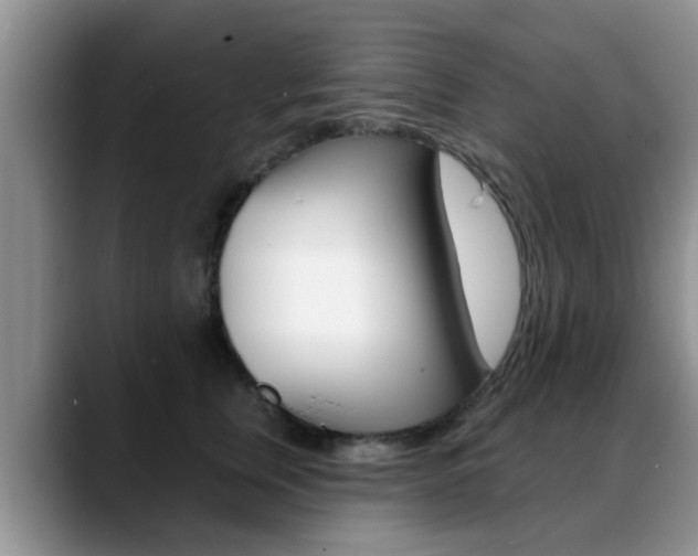 X0000089390759200706150931