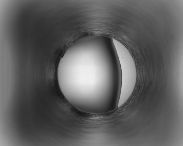 X0000089390760200706150931