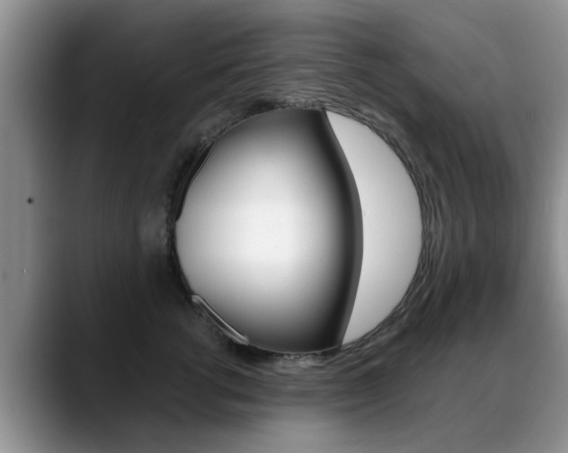 X0000089390762200706150931
