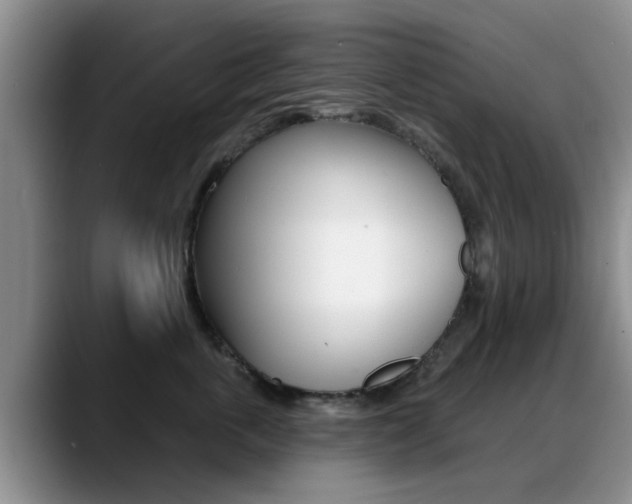 X0000089390763200706150931