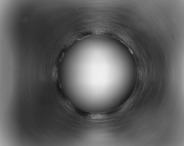 X0000089390766200706150931