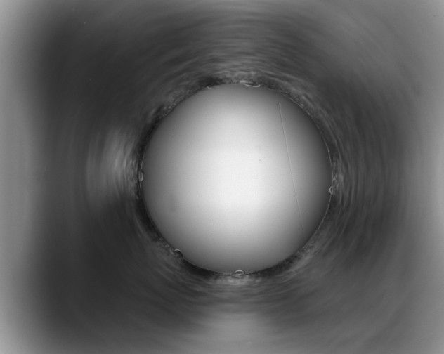 X0000089390767200706150931