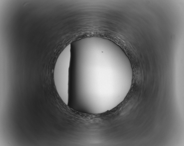 X0000089390770200706150930