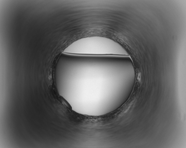 X0000089390771200706150930