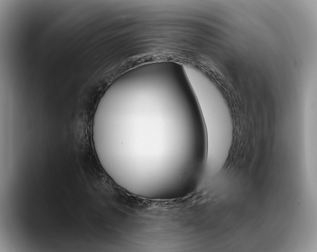 X0000089390773200706150930