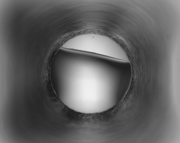 X0000089390776200706150930
