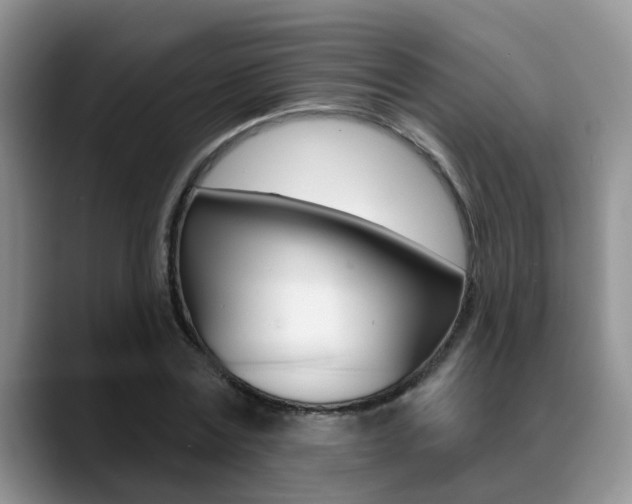 X0000089390779200706150930