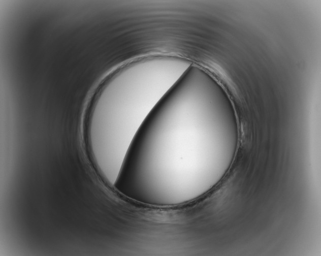 X0000089390780200706150930