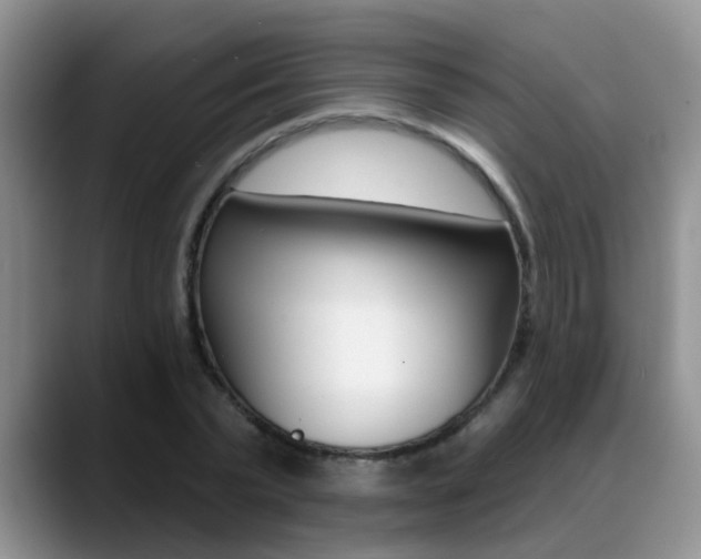 X0000089390783200706150930