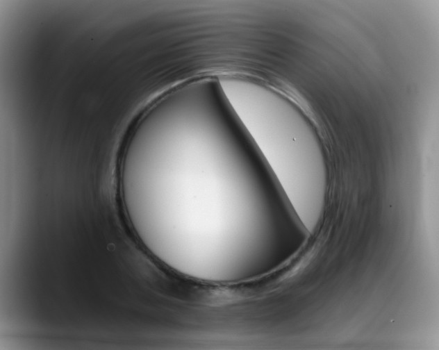 X0000089390787200706150930