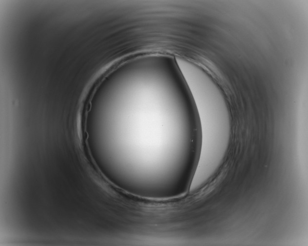 X0000089390788200706150930