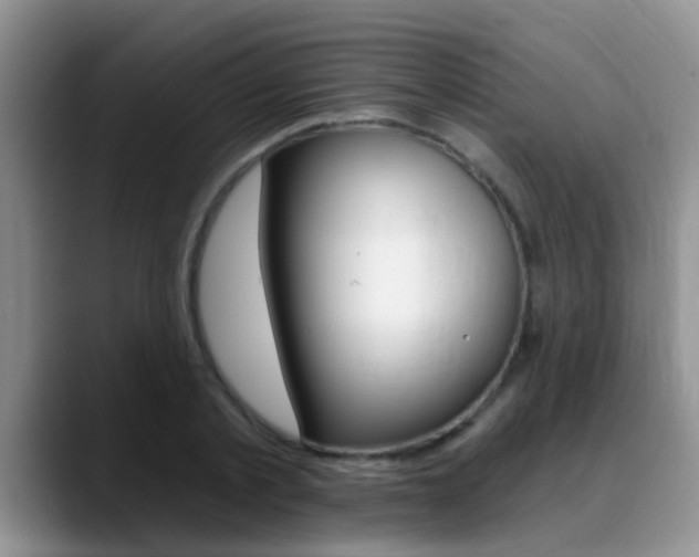 X0000089390789200706150930