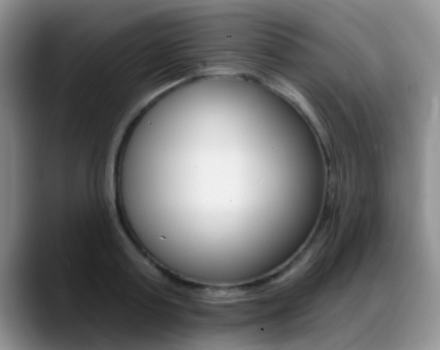X0000089390795200706150930