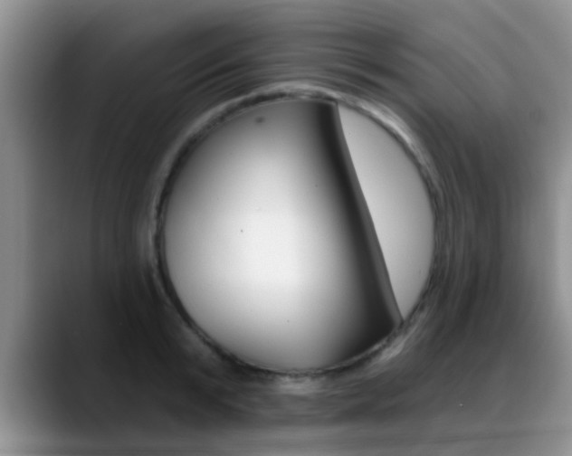X0000089390799200706150930
