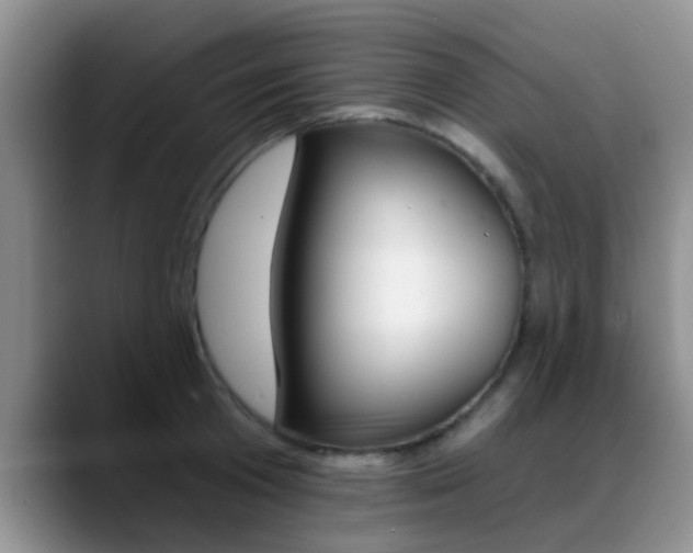 X0000089390801200706150930