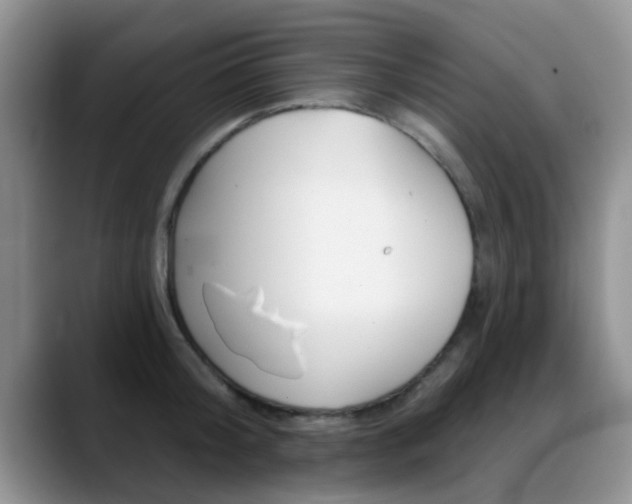 X0000089390804200706150930