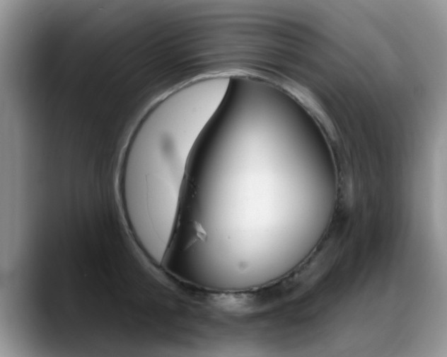 X0000089390805200706150930