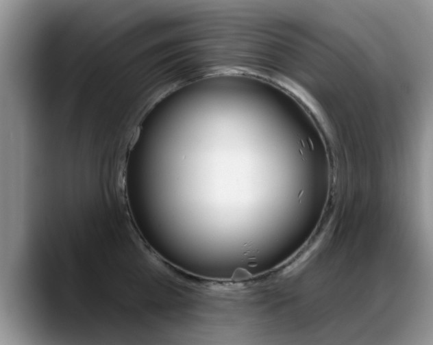 X0000089390809200706150930