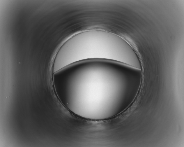X0000089390816200706150930