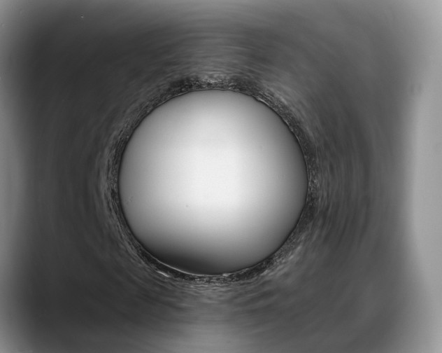X0000089390817200706150929