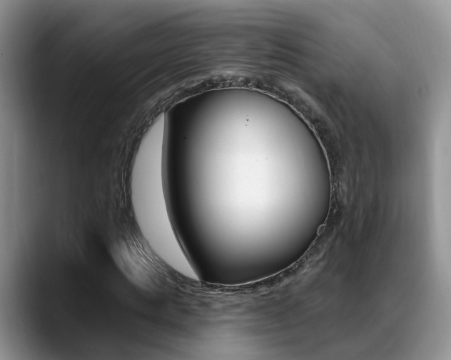 X0000089390821200706150929